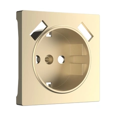 Изображение Накладка для USB розетки (шампань) W1179511